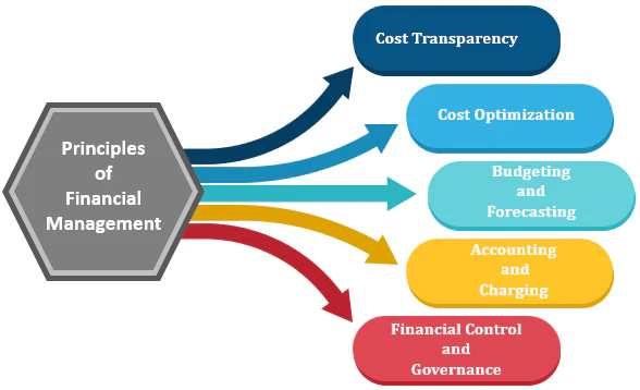 Financial Management and Cost Optimization Advantages