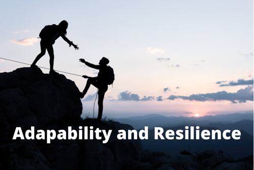 Resilience Adaptability and Risk Taking