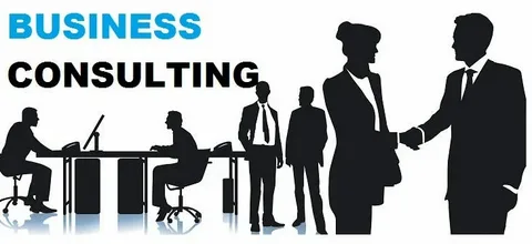 The Role of Business Consultants in Modern Organizations
