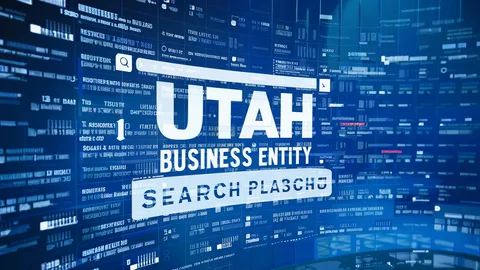 Why Use a Utah Business Entity Search Key Use Cases