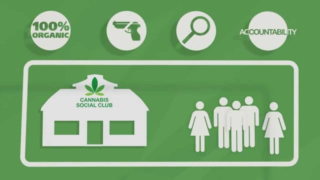 Case Studies of Success on Cannabis Social Networks